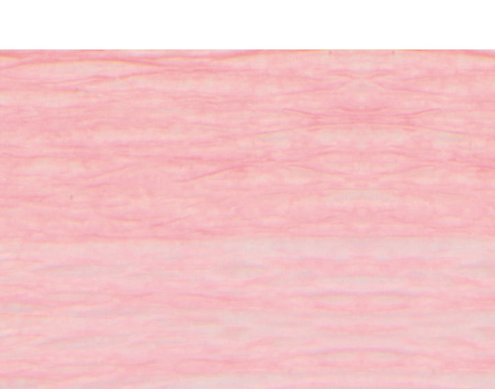 Rose Pink Floristry Crepe for Paper Flower Making Crafts