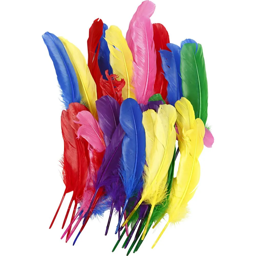 36 Assorted 20cm Quill Feathers for Crafts