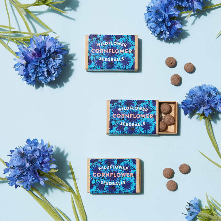 Matchbox Mini Cornflower Seed Bombs | Mini Gifts