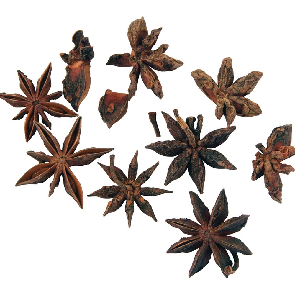30g Dried Star Anise for Floristry & Wreath Making