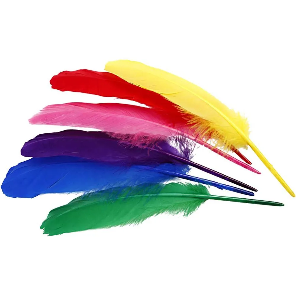 36 Assorted 20cm Quill Feathers for Crafts