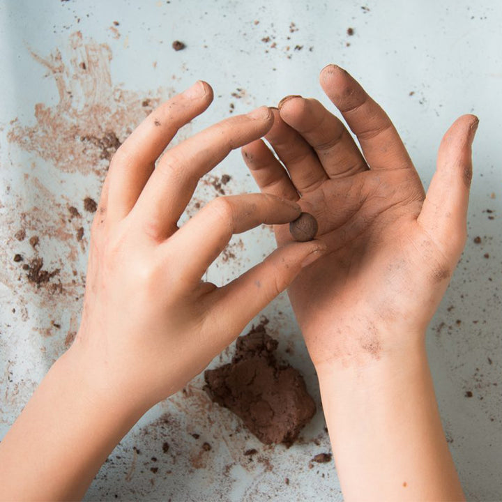 Make Your Own Seedballs Craft Kit | Flowers for Butterflies | Makes 50-60 Balls