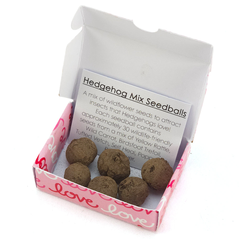 Love Love Love | Hedgehog Friendly Seedball Box | Valentines Cracker Filler Gift