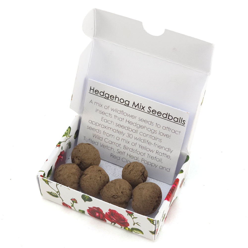 Romantic Rose | Hedgehog Friendly Seedball Box | Valentines Cracker Filler Gift