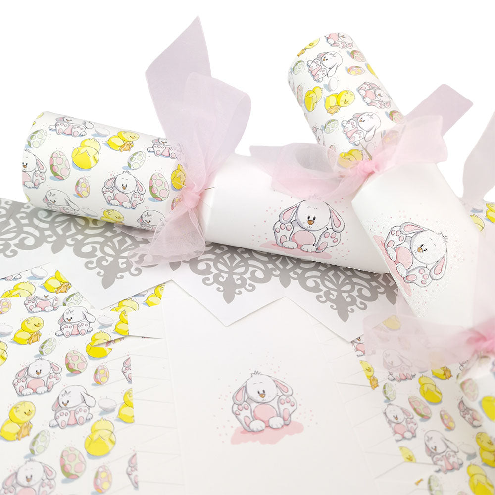 Cute Easter Bunny Cracker Making Kits - Make & Fill Your Own