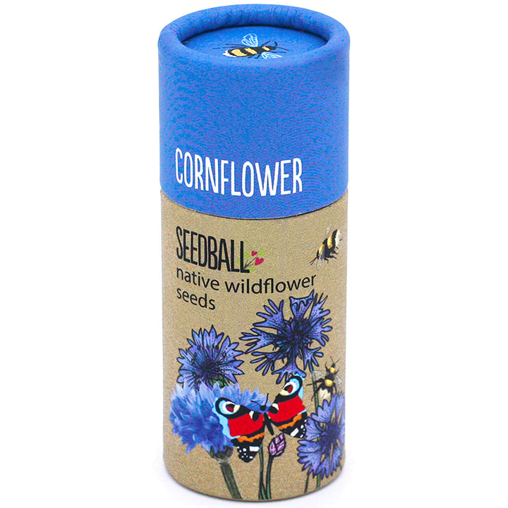 Cornflower Seeds | Luxury Tube of Seed Bombs | Cracker Filler | Mini Gift