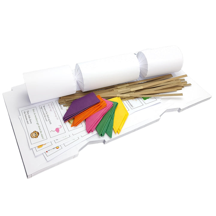 White Basic Make & Fill Your Own DIY Recyclable Christmas Cracker Craft Kits