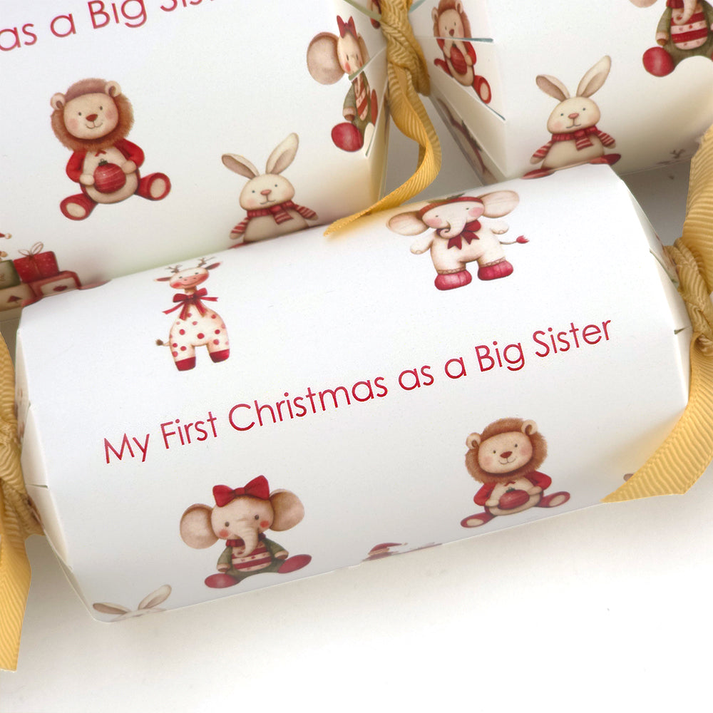 My First Christmas as a Big Sister | Christmas Cracker Kit | SINGLE