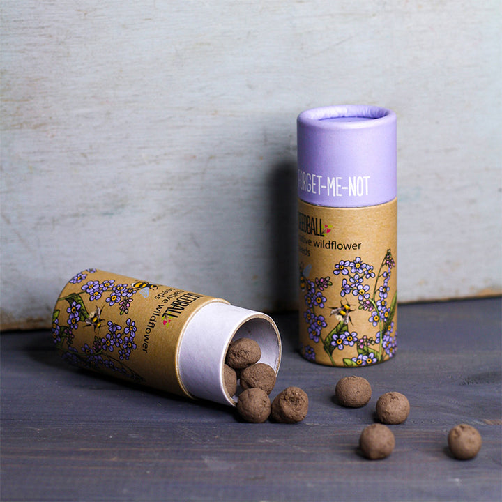 Forget Me Not Seeds | Luxury Tube of Seed Bombs | Cracker Filler | Mini Gift