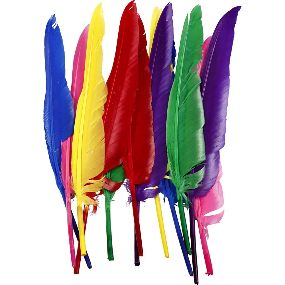 12 Assorted 27cm Feather Quills for Crafts