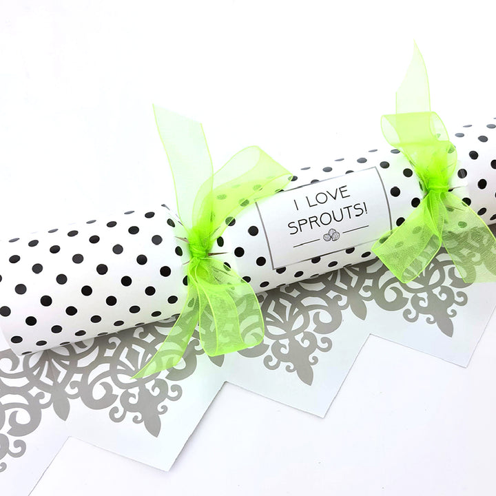 Loving & Hating Sprouts | Cracker Making Craft Kit | Makes 6 Standard Crackers