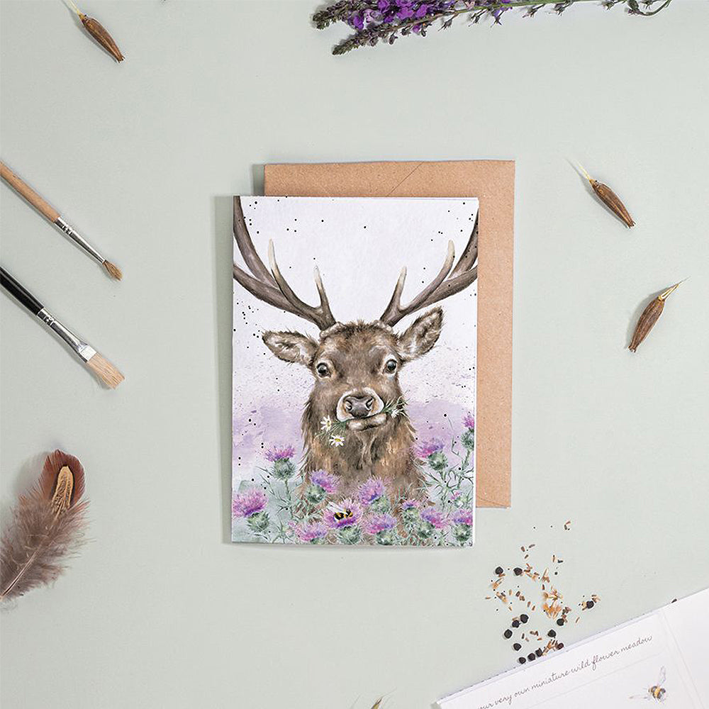 Stag & Thistle | Blank Card & Wild Flower Seeds | 10.5x15cm | Wrendale Designs