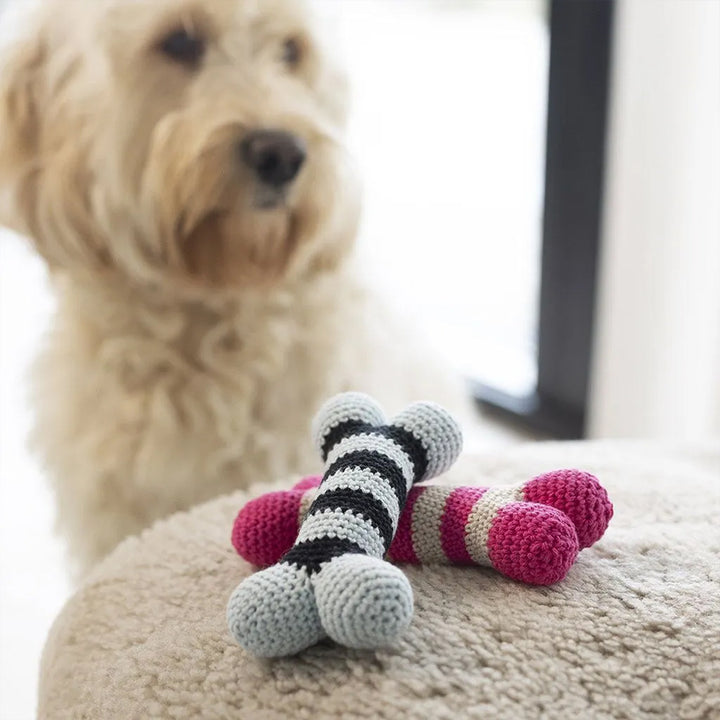 Squeaky Dog Bone | Mini Crochet Craft Kit | Makes 2