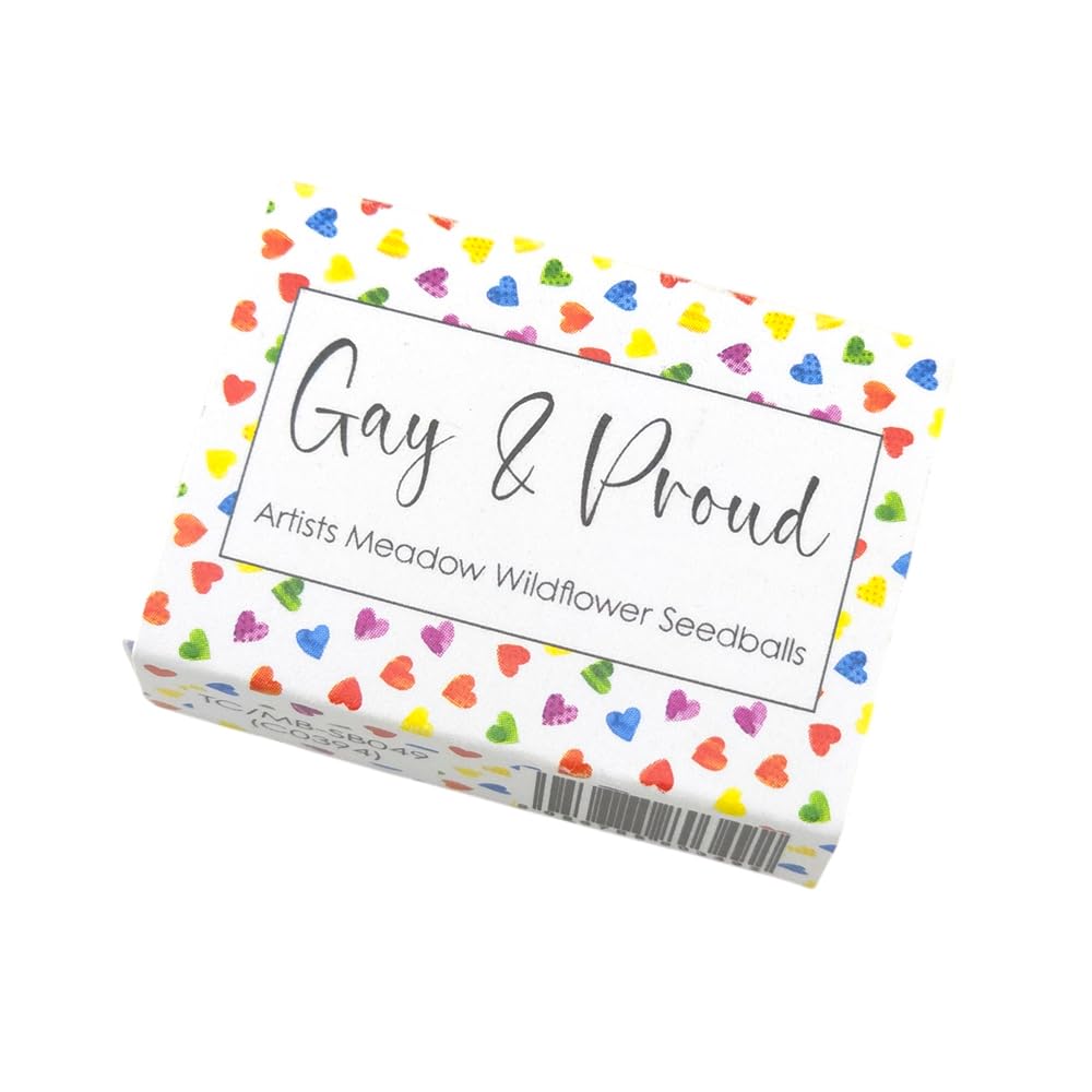 Gay and Proud | Artist Mix | 6 Seedball Box | Cracker Filler | Little Gift