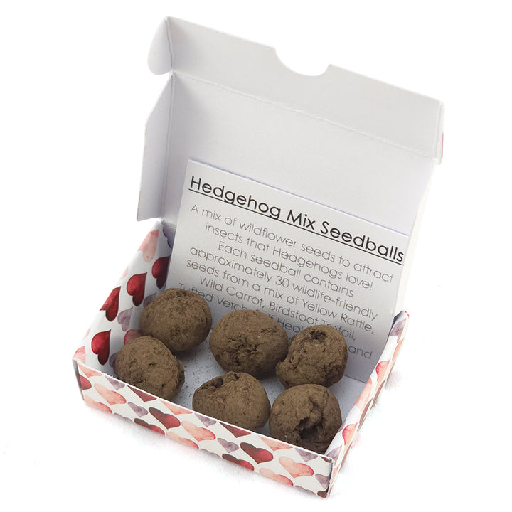 Watercolour Hearts | Hedgehog Friendly Seedball Box | Valentines Cracker Gift