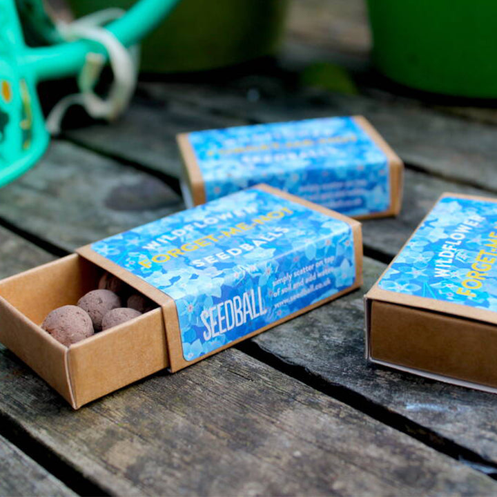 Matchbox Mini Forget-Me-Not Seed Bombs | Mini Gifts