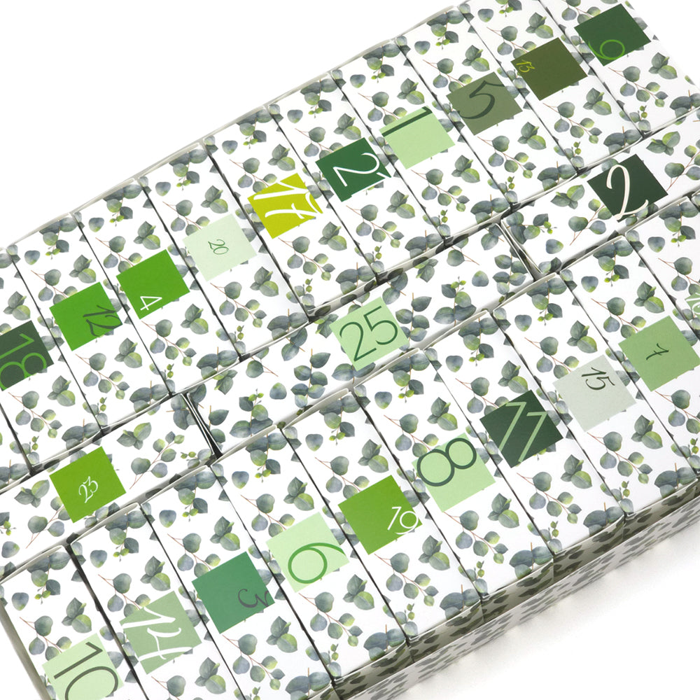 Advent Calendar Making Kit | 25 Soap Boxes & Outer Box | Watercolour Eucalyptus