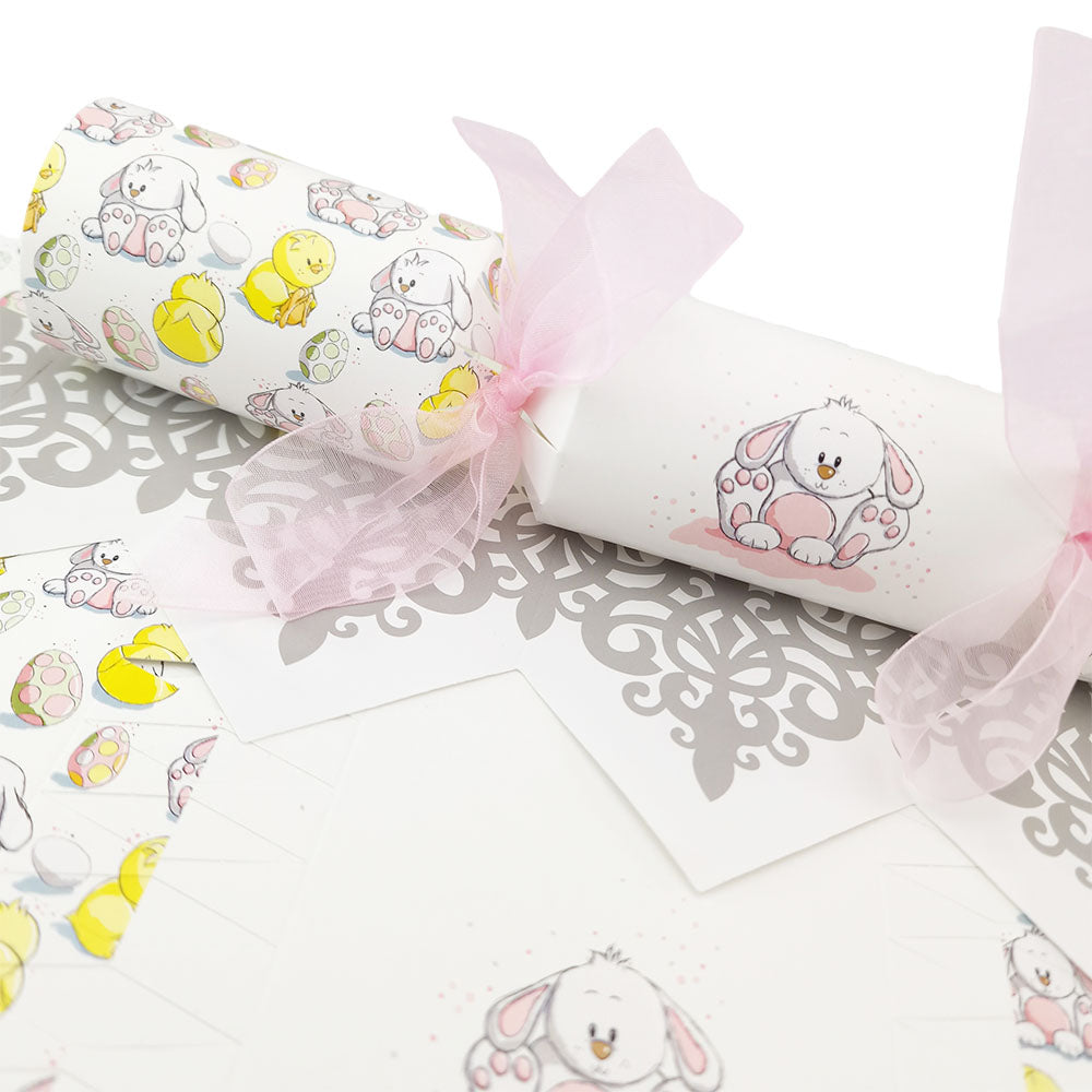 Cute Easter Bunny Cracker Making Kits - Make & Fill Your Own