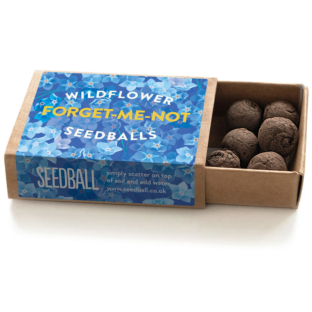 Matchbox Mini Forget-Me-Not Seed Bombs | Mini Gifts