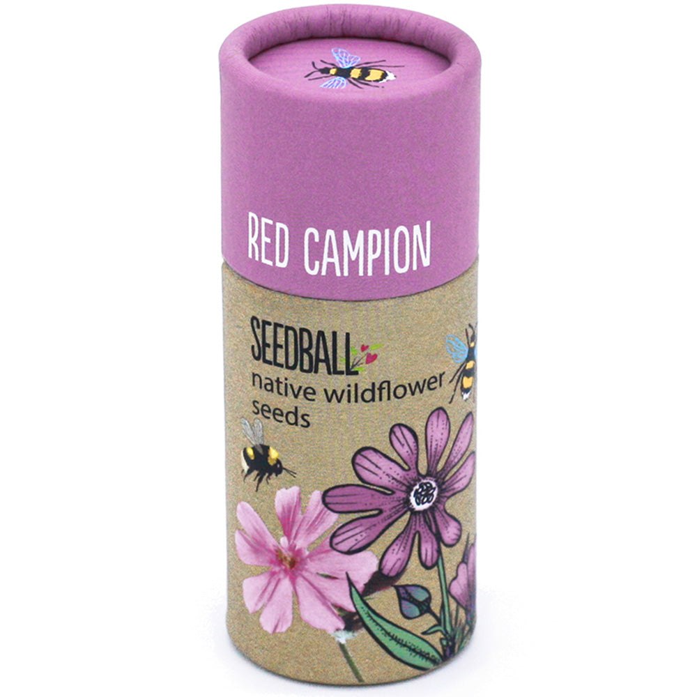 Red Campion | Luxury Tube of Seedballs | Cracker Filler | Mini Gift