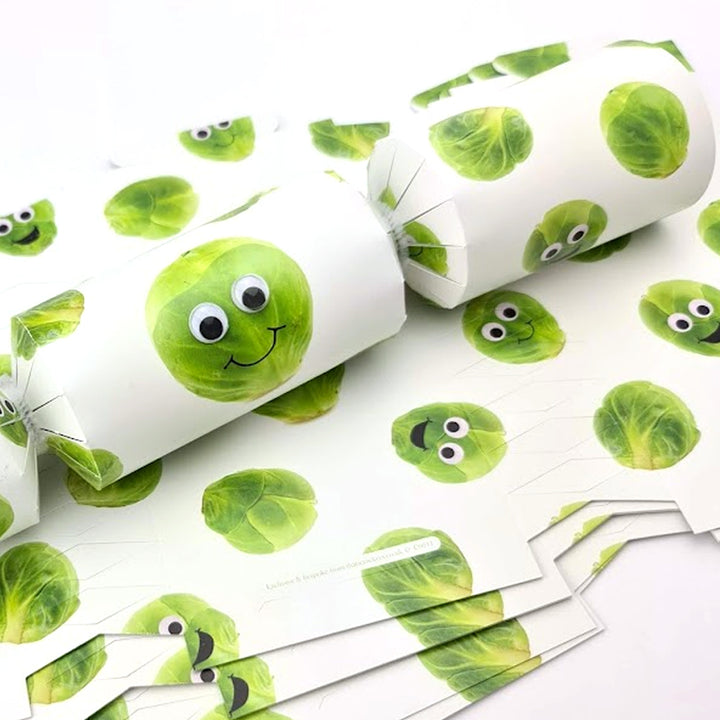 10 Googly Sprout Complete Cracker Making Kit with Pipecleaners & Eyes