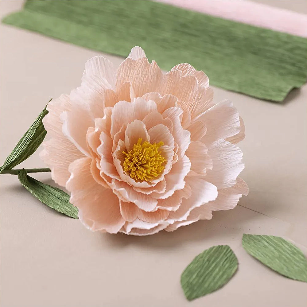 Crepe Peony Craft Kit | Paper Flower Making | Makes 1
