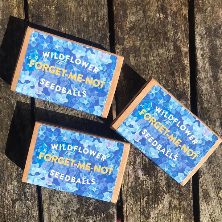 Matchbox Mini Forget-Me-Not Seed Bombs | Mini Gifts