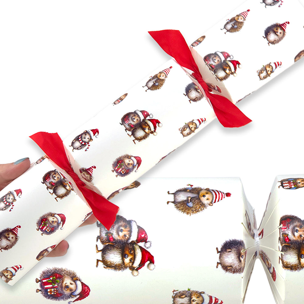 Festive Hedgehogs | Christmas Cracker Making Craft Kit | Make &amp; Fill Your Own