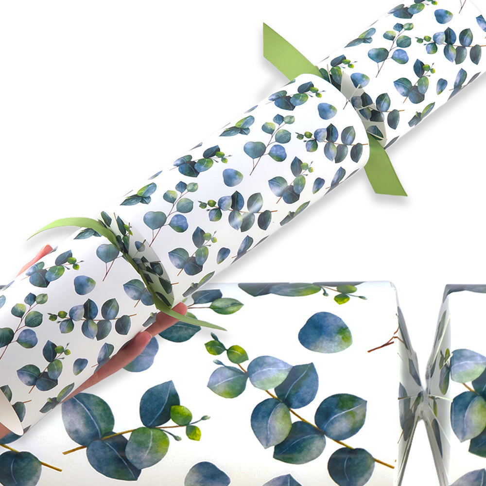 Extra Large & Jumbo | Reusable Keepsake Cracker Sets | Watercolour Eucalyptus