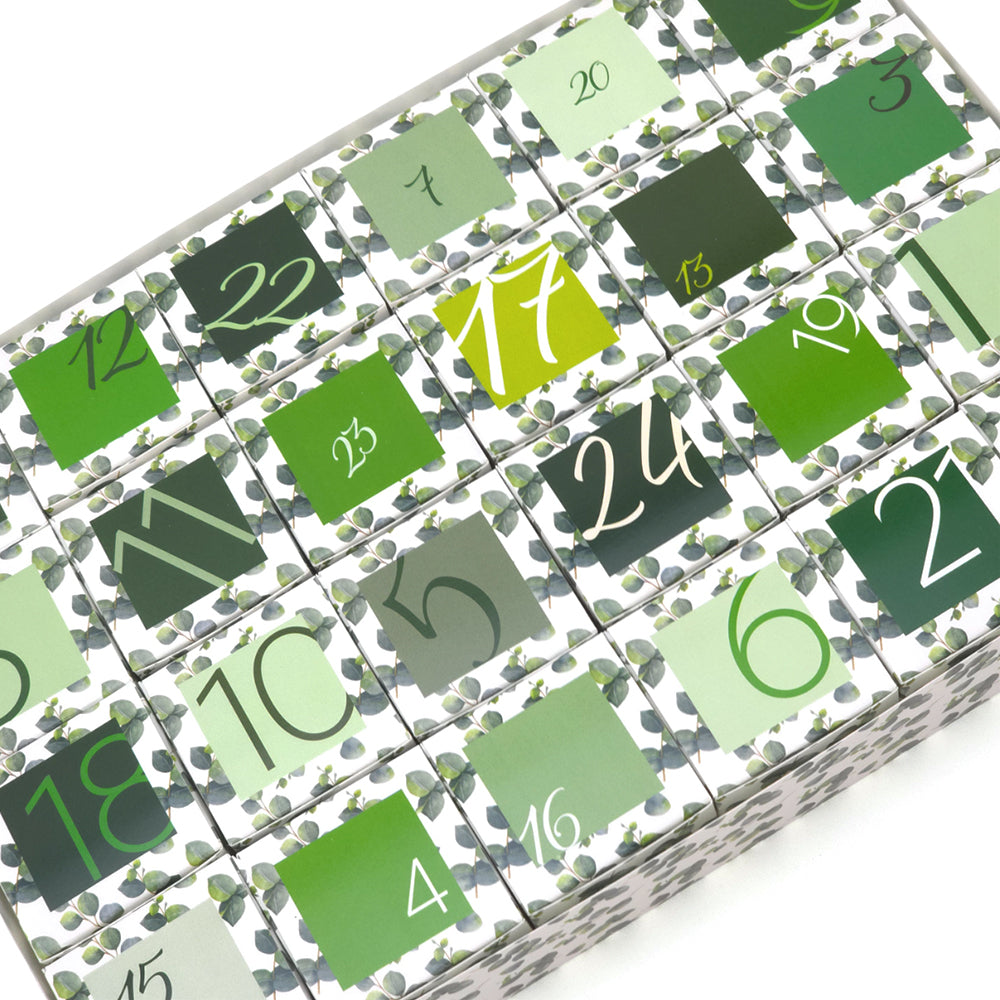 Personalised Advent Calendar Kit | 24 Cubes & Outer Box | Watercolour Eucalyptus