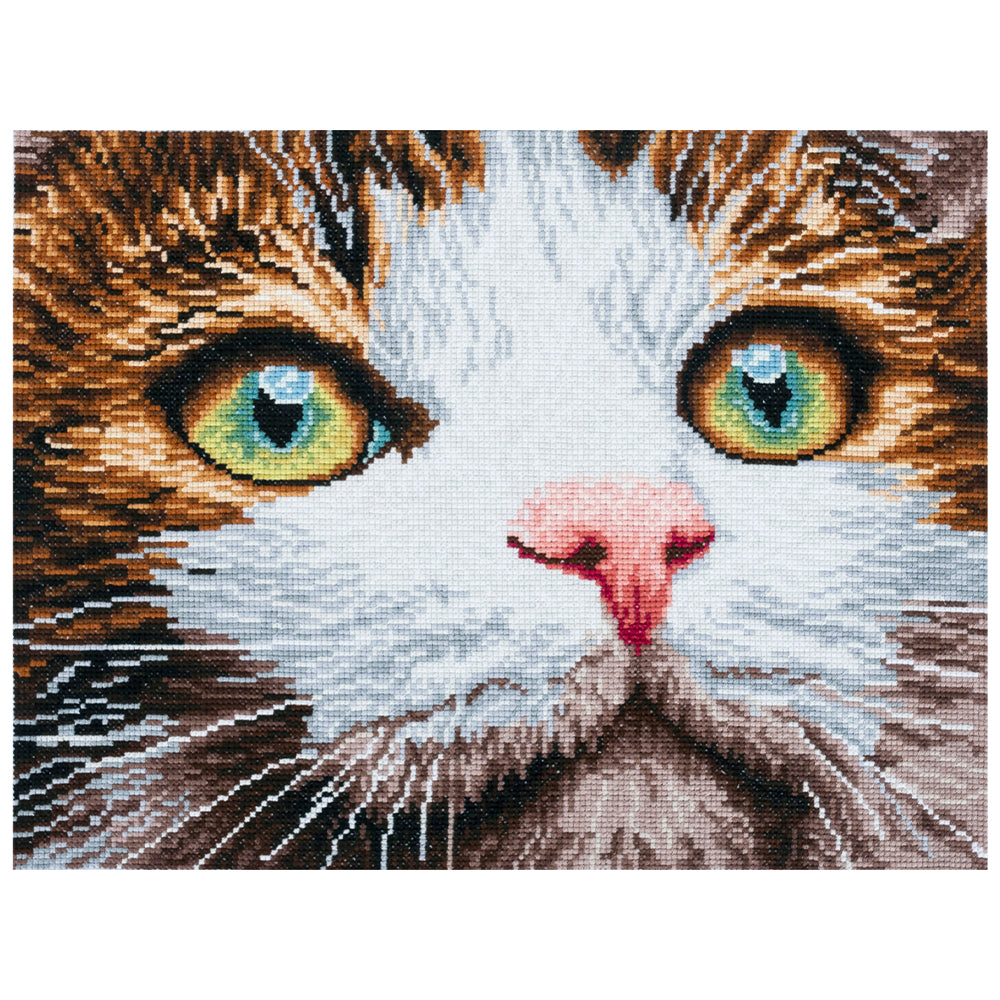 The Cats Whiskers | Complete Cross Stitch Kit | 41x35cm