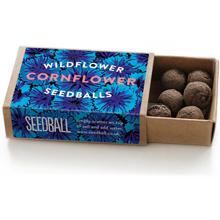 Matchbox Mini Cornflower Seed Bombs | Mini Gifts