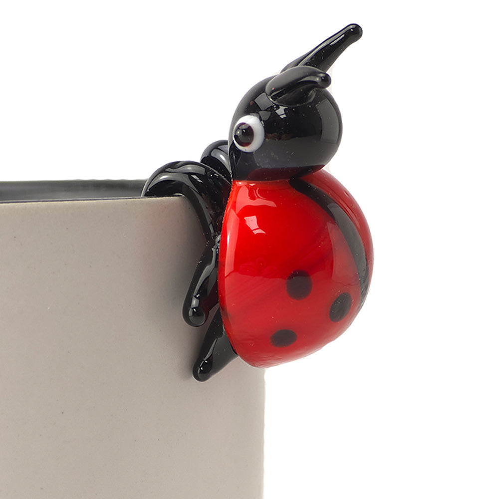 Ladybird | Little Glass Pot or Vase Hanger | Mini Gift | Cracker Filler