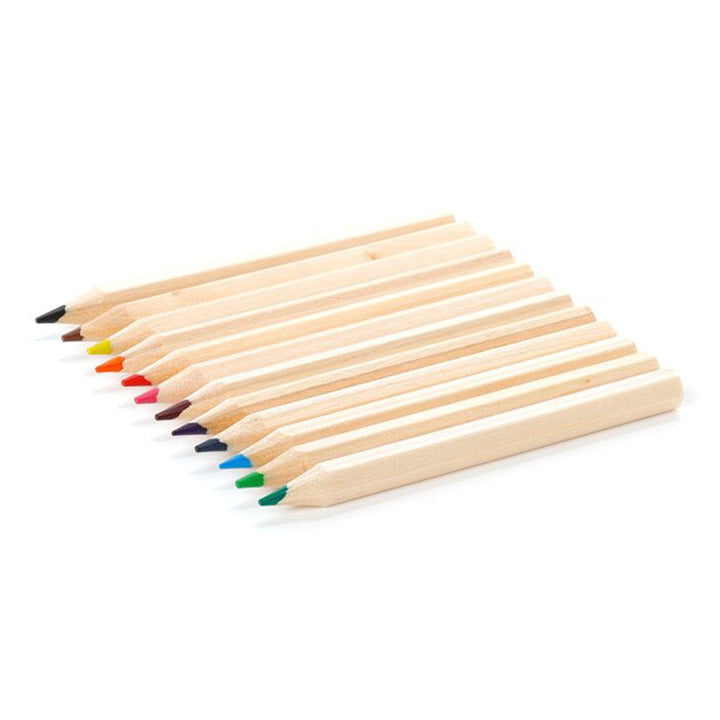 Moomin Tammi | Tube of Pencil Crayons for Kids | Single | Cracker Filler