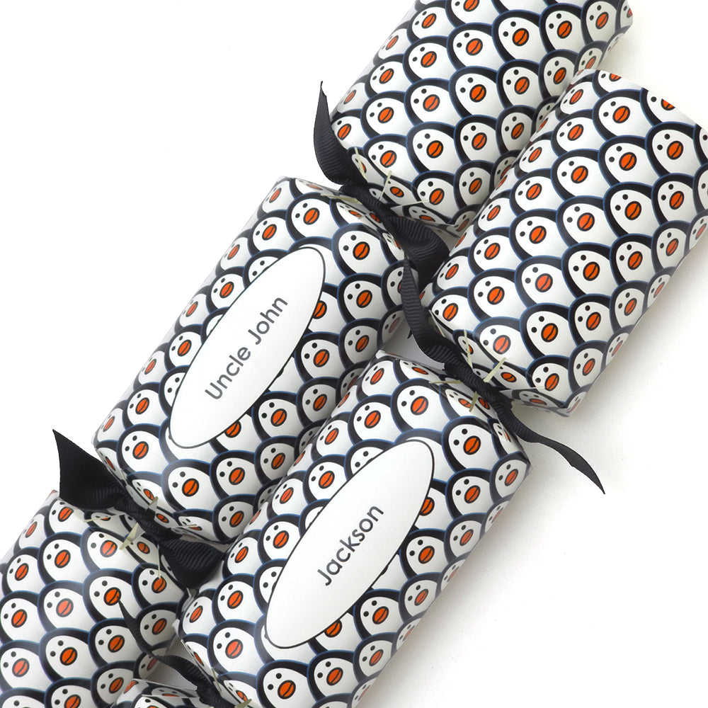 Personalised Cracker Making Craft Kit | Just Penguins |  Makes 4 or 6 Crackers