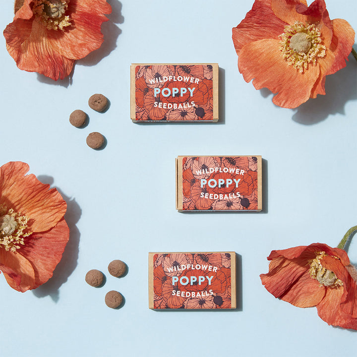 Matchbox Mini Poppy Seed Bombs | Mini Gifts