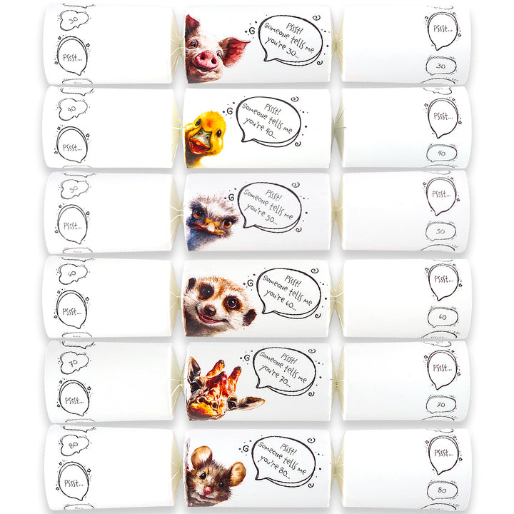 Cheeky Mouse Milestone Birthday | Cracker Making Craft Kit | Make Your Own
