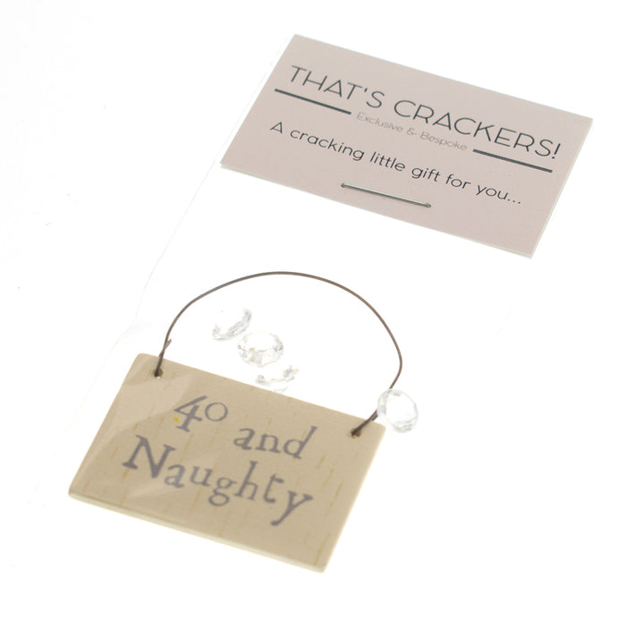 40 and Naughty Mini Plaque Hanger & Sparkles - Cracker Filler Gift Bag