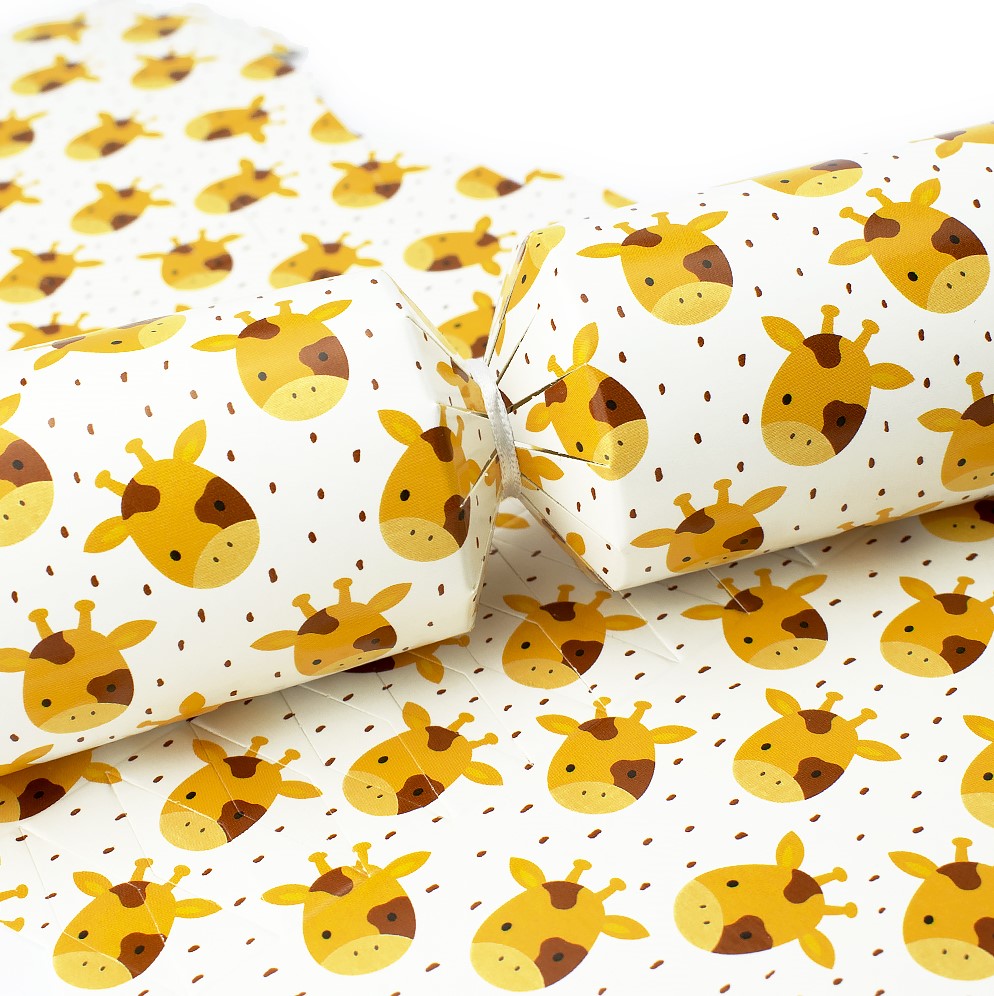 Baby Giraffe | Cracker Making Craft Kit | Make &amp; Fill Your Own
