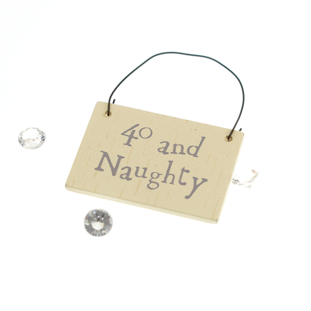 40 and Naughty Mini Plaque Hanger & Sparkles - Cracker Filler Gift Bag